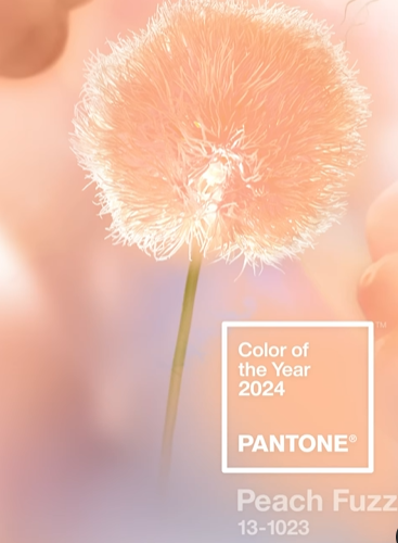 ¿Ya sabías que el color del año 2024 es PANTONE 13-1023 Peach Fuzz? 😯 🤩 Y lo convierte en un regalo para los sentidos que tiene cómo mensaje comunicar cariño y ser compartido ☺️ ¡Tómalo en cuenta para tus próximos posts y diseños! ✨