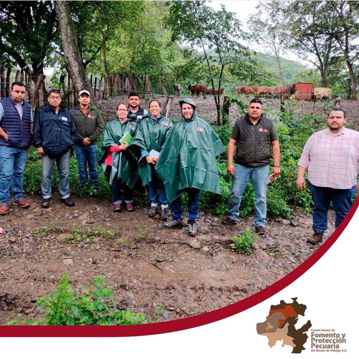 cefpphidalgo's tweet image. Con el firme objetivo de mantener la clasificación de nivel III en la Campaña Nacional contra la Tuberculosis Bovina (Mycobacterium bovis) durante la semana del 04 al 08 de diciembre se llevó a cabo la visita de certificación por parte del APHIS/USDA al estado de Hidalgo.