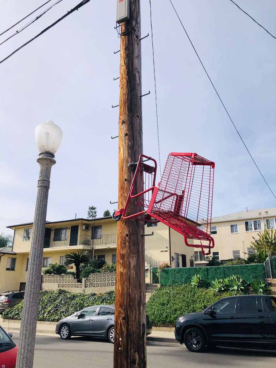 Evan Kindley tweet media