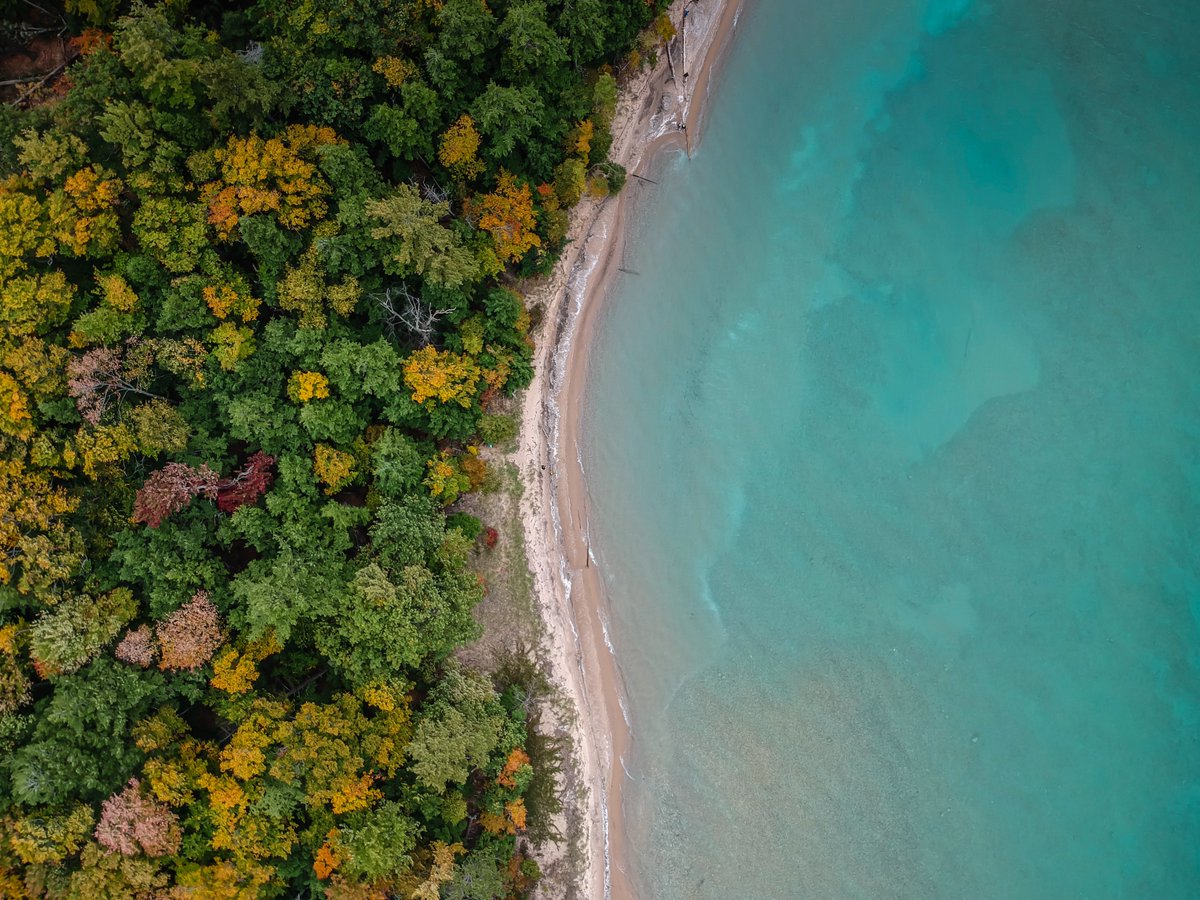 Our department at the University of Guelph is hiring an Assistant / Associate Professor of Aquatic Ecosystems and Global Change -- come join us!! Please apply by January 31 2024! uoguelph.ca/facultyjobs/po… #unicornjob🦄