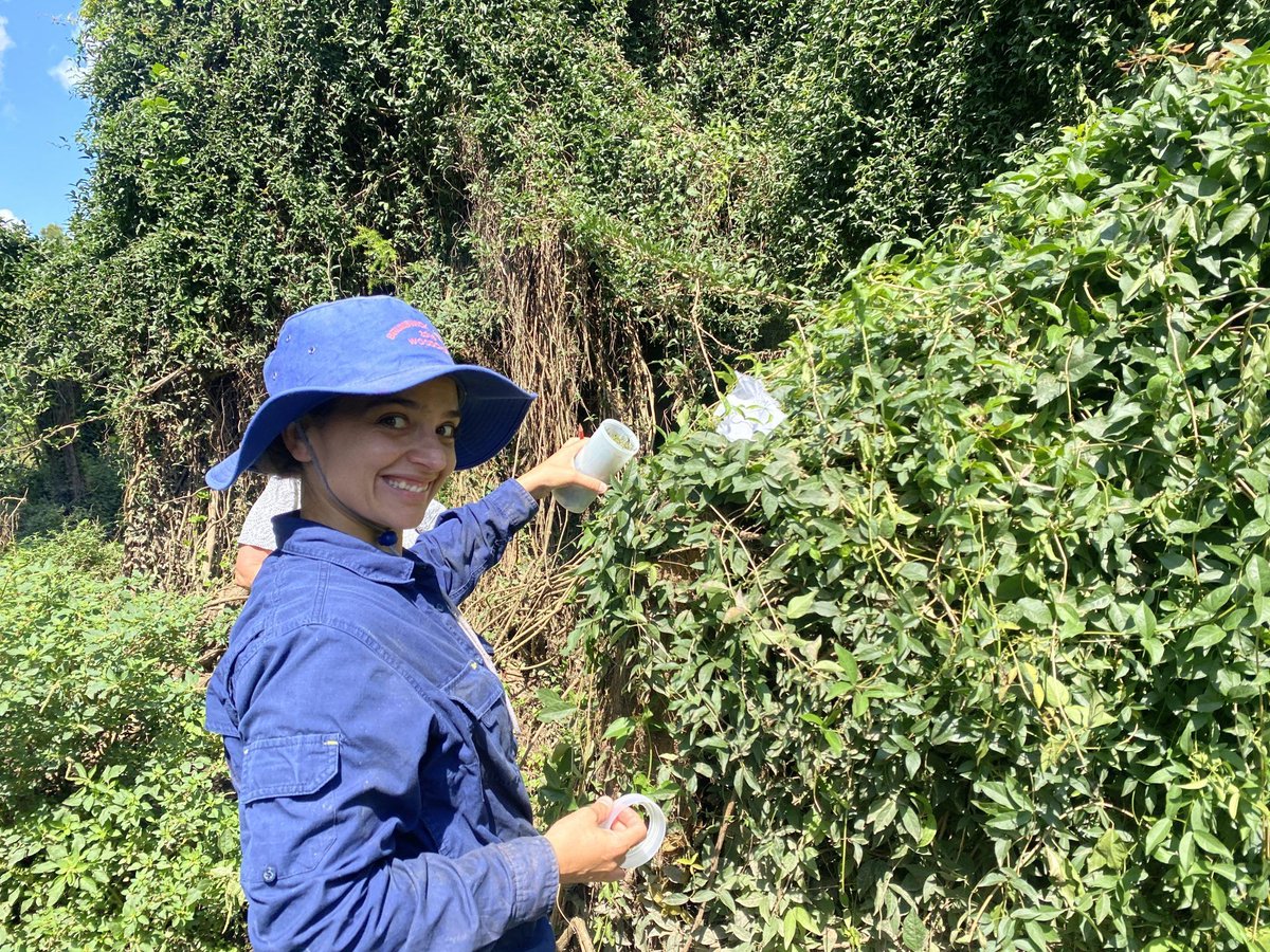 Check out this inspiring story of local communities helping to in revegetate, control weeds, and stabilise creek and river banks to foster thriving ecosystems. buff.ly/47Jd3fM 
#ConservationForAll #NatureBlocks #BiodiversityBoost #NatureBlocks #BuildBackNature