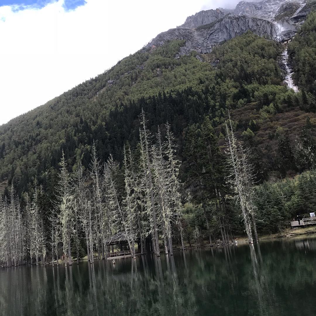 dependance fluviograph overemployment
Tôi muốn gặp một người bạn phụ nữ yêu thích nghệ thuật và cùng nhau tham gia vào các khóa học nghệ thuật.