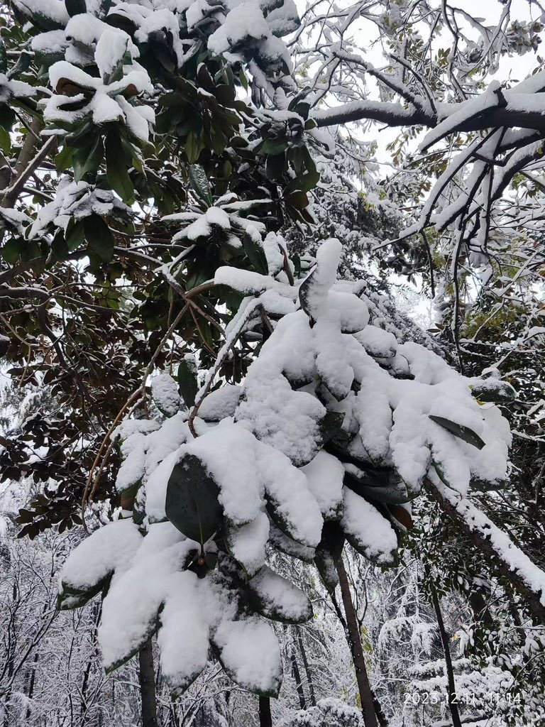 super001204's tweet photo. A fall of seasonable snow gives promise of a fruitful year https://t.co/SVAIQ7Jaig