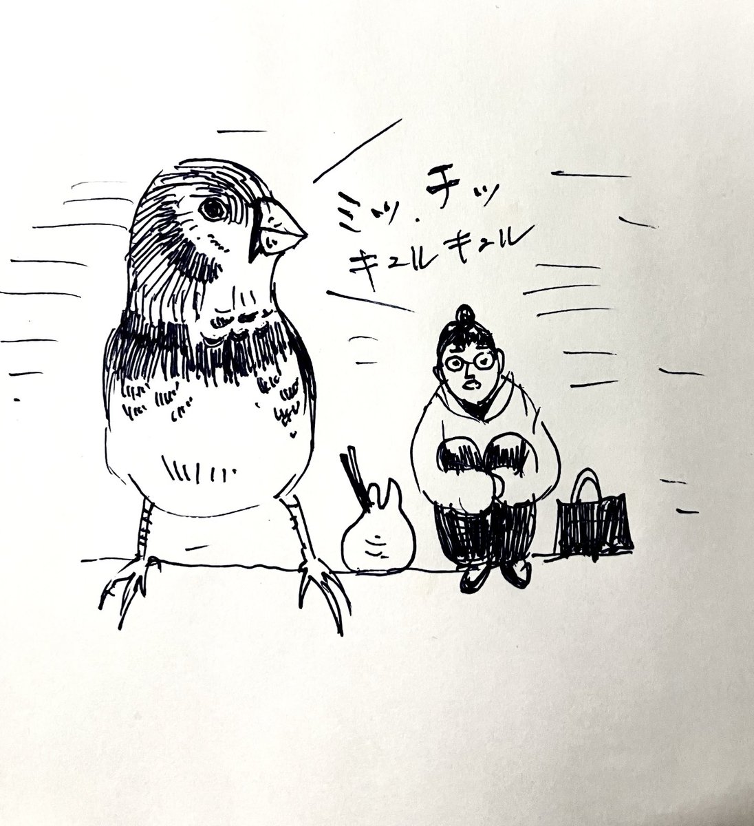 三分でソレを描くシリーズ 錦華鳥(ちいさかわいい)と中学生から普段着がほぼ変わらない49歳白川。