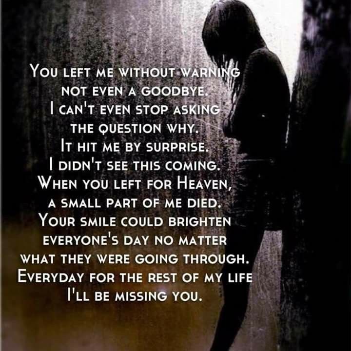 William Bishop Hamil tweet media