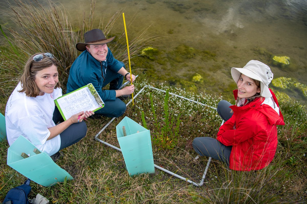 BlueCarbonLab tweet picture