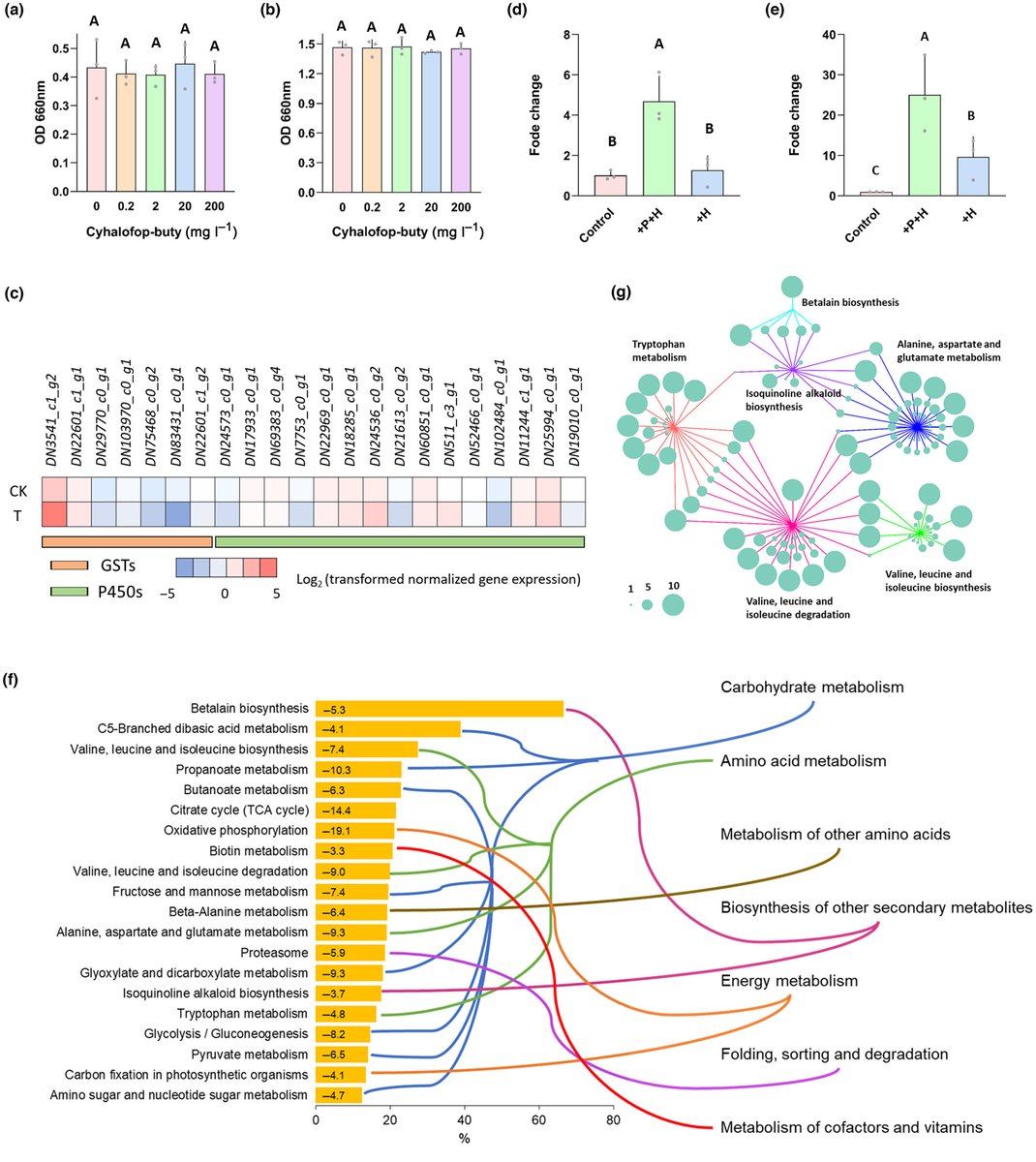 New Phytologist (@newphyt) on Twitter photo 🌱 Seed microbiome-mediated herbicide resistance evolution in weeds
✉ ow.ly/WPGN50QgJ17
Letter by Hu et al.
<a href="/MCWZJU/">Mengcen Wang 王蒙岑</a> <a href="/Herry_Hongda/">Hongda Fang</a> @Pikaquucute <a href="/xu_haorong/">Haorong Xu</a> 🌱 Seed microbiome-mediated herbicide resistance evolution in weeds
✉ ow.ly/WPGN50QgJ17
Letter by Hu et al.
<a href="/MCWZJU/">Mengcen Wang 王蒙岑</a> <a href="/Herry_Hongda/">Hongda Fang</a> @Pikaquucute <a href="/xu_haorong/">Haorong Xu</a>