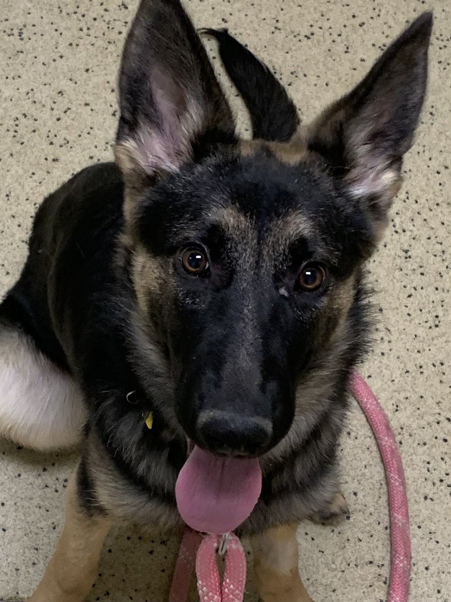 Pic 🏳️‍⚧️✨ tweet media