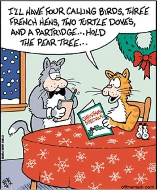 Favorite Christmas meal? #Caturday #Christmasmemories ❤💚