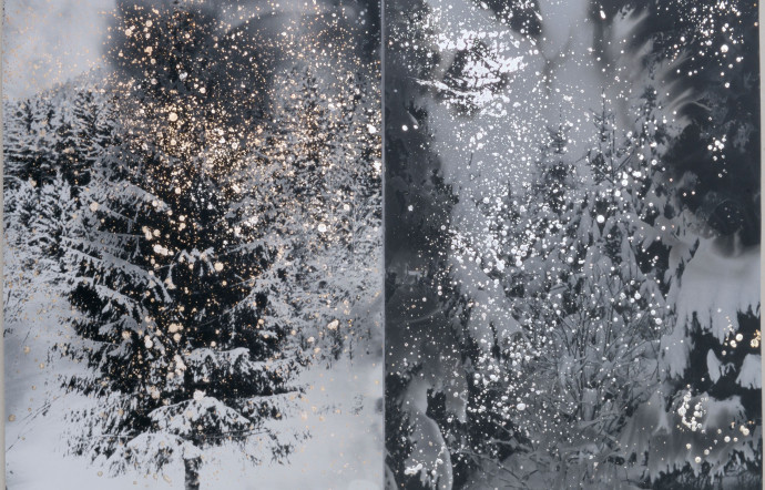 Claudine Colin tweet media