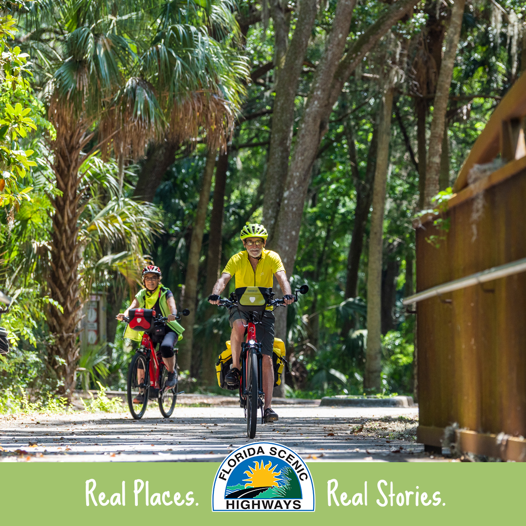 This #TravelTuesday, get on your bike and ride one of the green and glorious multi-use trails that swirl all around the River of Lakes Heritage Corridor! 🚴‍♀️

👉 bit.ly/21-ROL

@MyFDOT_CFL @VisitWestVolusia @BikeFlorida
#StJohnsRivertoSeaLoop