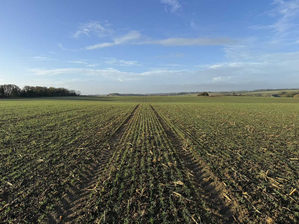 Ed Schofield tweet media