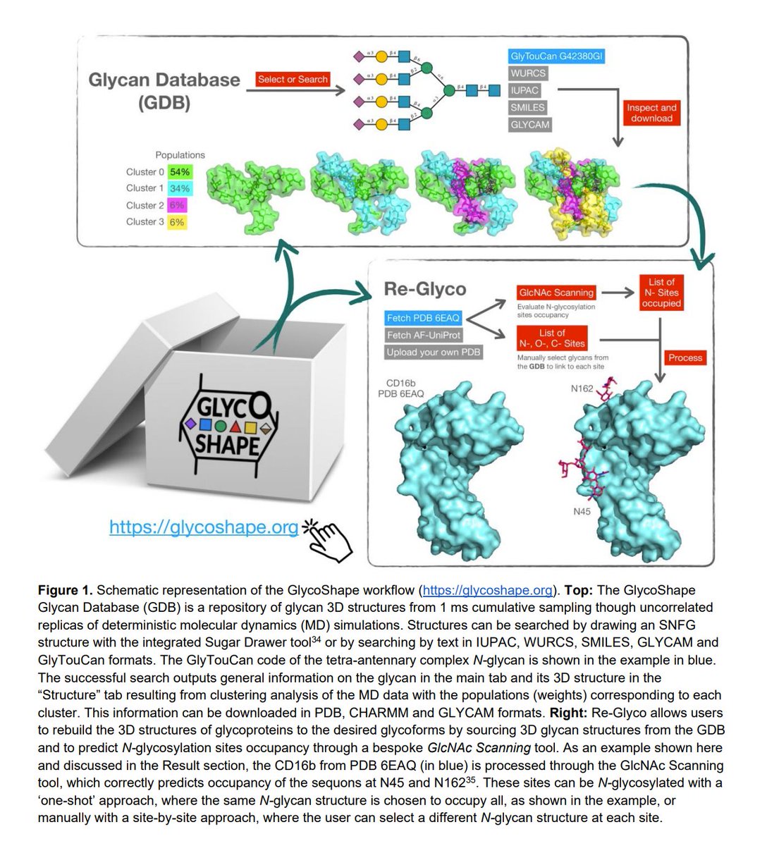 Restoring Protein Glycosylation with GlycoShape biorxiv.org/content/10.110…

---
#proteomics #prot-preprint