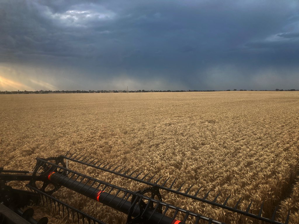 Once the moisture comes down late arvo, we go until the daily storms roll in. 🤦‍♂️