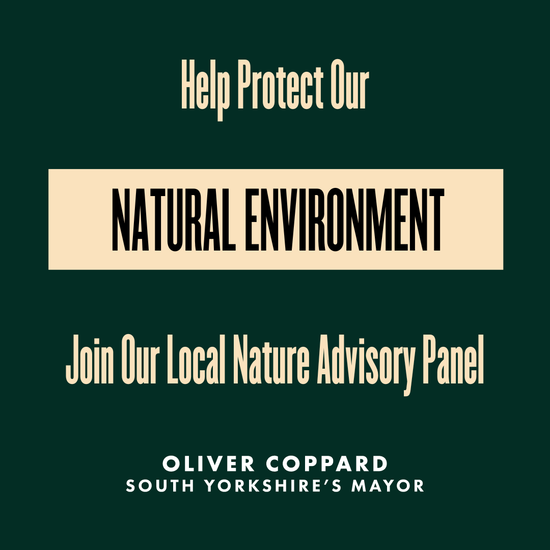SouthYorksMCA's tweet image. Are you a local nature/environment expert? 

We are recruiting for people to join a new advisory panel to help shape our Local Nature Recovery Strategy.

To find out more and apply, please visit: southyorkshire-ca.gov.uk/lnrs-advisory-…

#southyorkshire #localenvironment