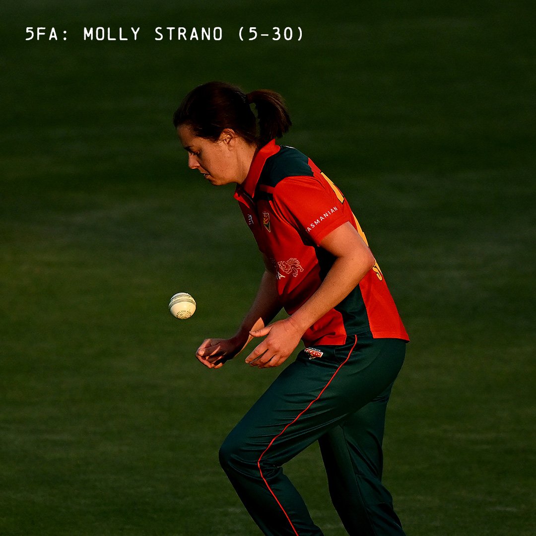 Tasmanian Tigers tweet media