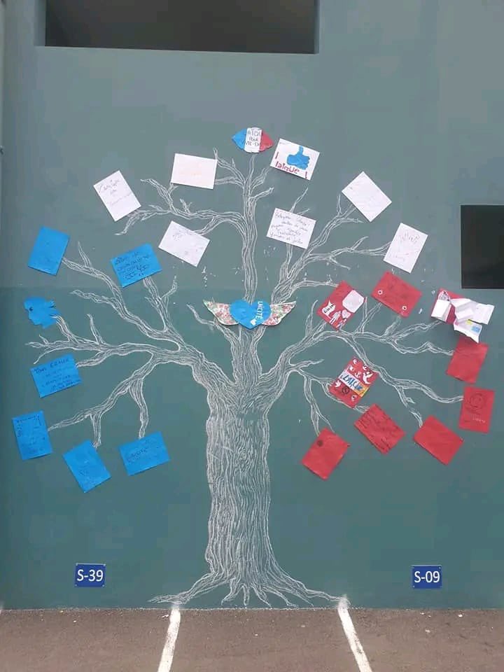 Balbine OLLIER tweet media