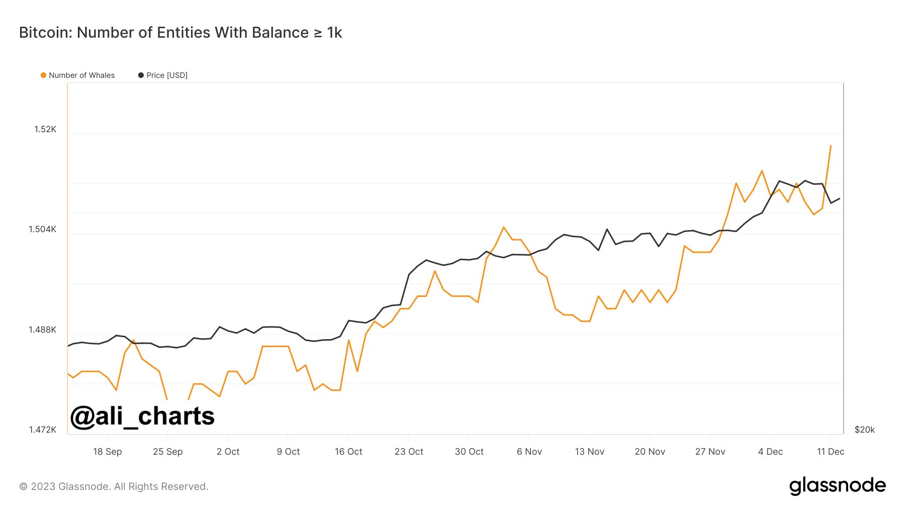 Bitcoin Whale Entities