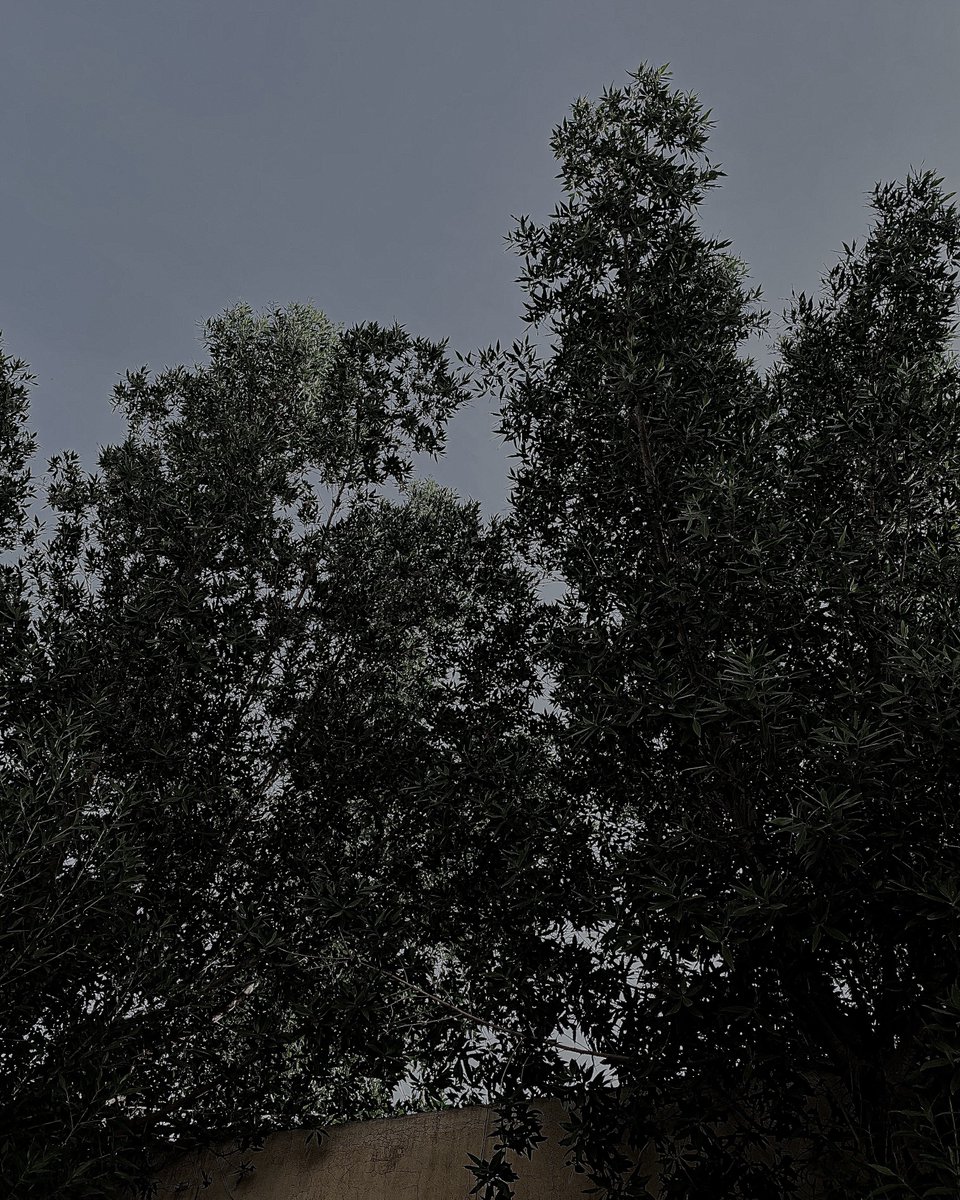 8AM tuesday —
This morning teaches me that a person must always strive!