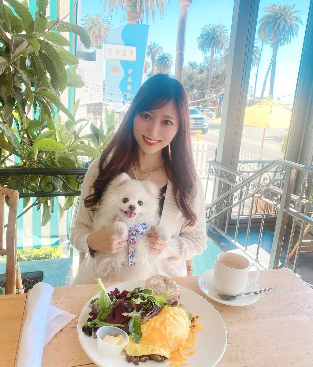osepooh's tweet photo. #プレニチュード #東京 #Tokyo #新富町 #春 #春爛漫  #春野菜 #春色  #桜  #オーガニック #野菜 #フランス #フレンチ #シャガール #デート #記念日 #お祝い #女子会 #接待 #ワイン https://t.co/xLX8Rt9NmC