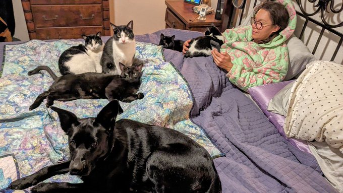 Goodnight Sleep tight 😴💤 https://t.co/1qPPThaVNW