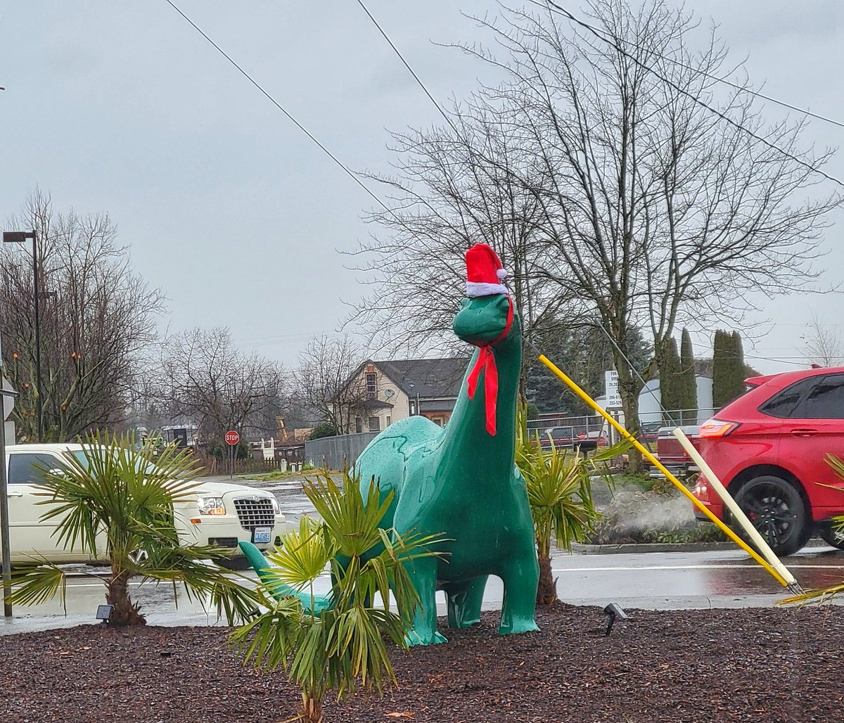 NatHeathirPhoto's tweet photo. Today in Enumclaw...our new Sinclair gas dinosaur is ready for Christmas!!!  #pnw #Enumclaw #sinclairgas #dinosaur #quirky https://t.co/ELB5NaF9jE