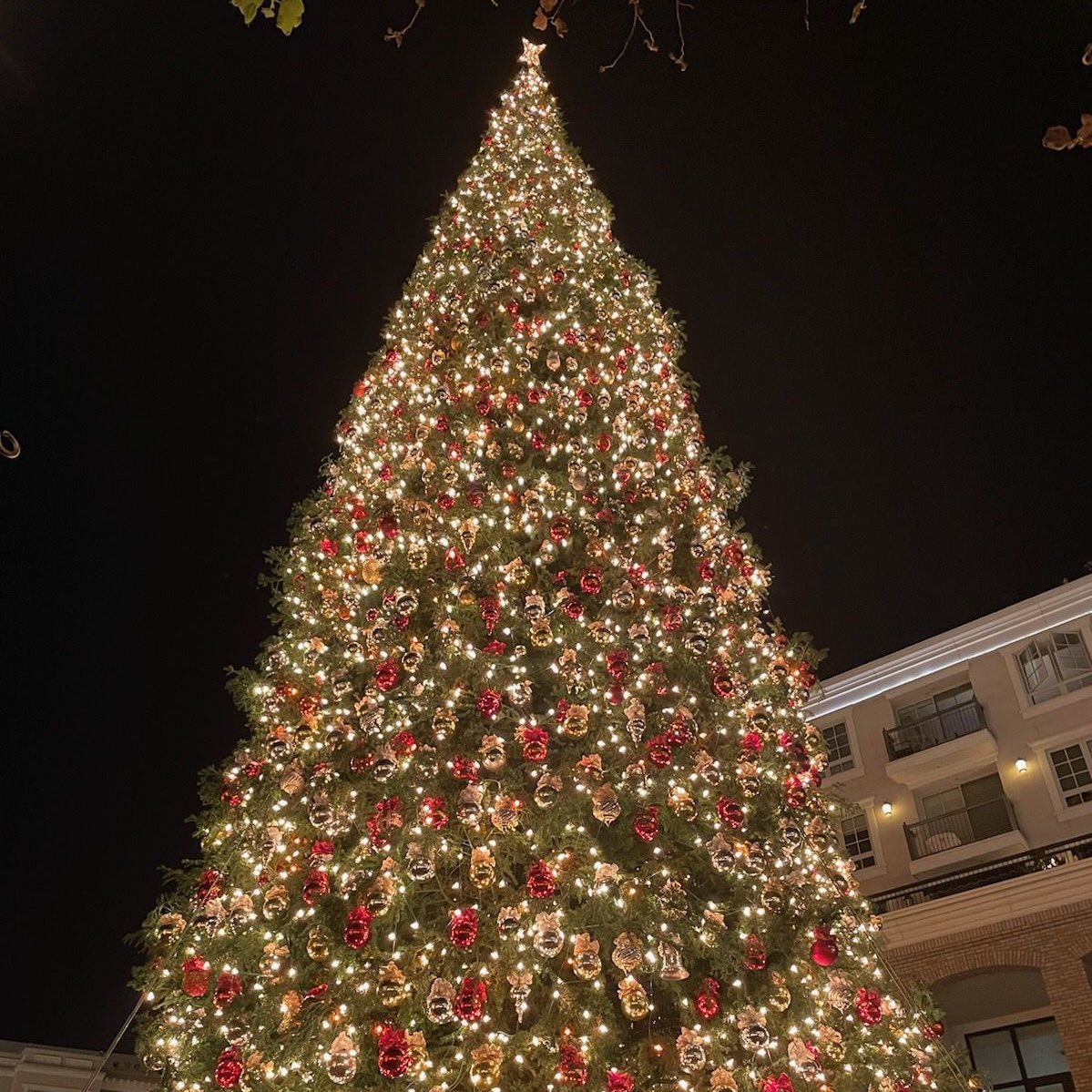 lostyouinmay's tweet image. “ only 13 days until christmas 🎄🧦💌 ”