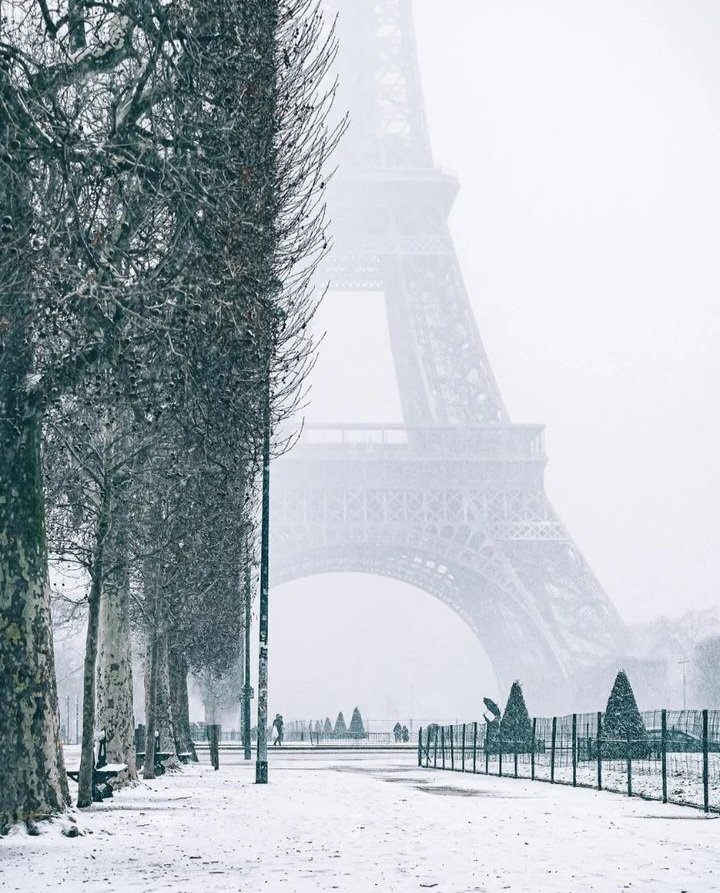 Paris , France  ❤️🇨🇵
Good morning everyone 

#NaturePhotography #beauty
#ParisInLove #BeautifulNature