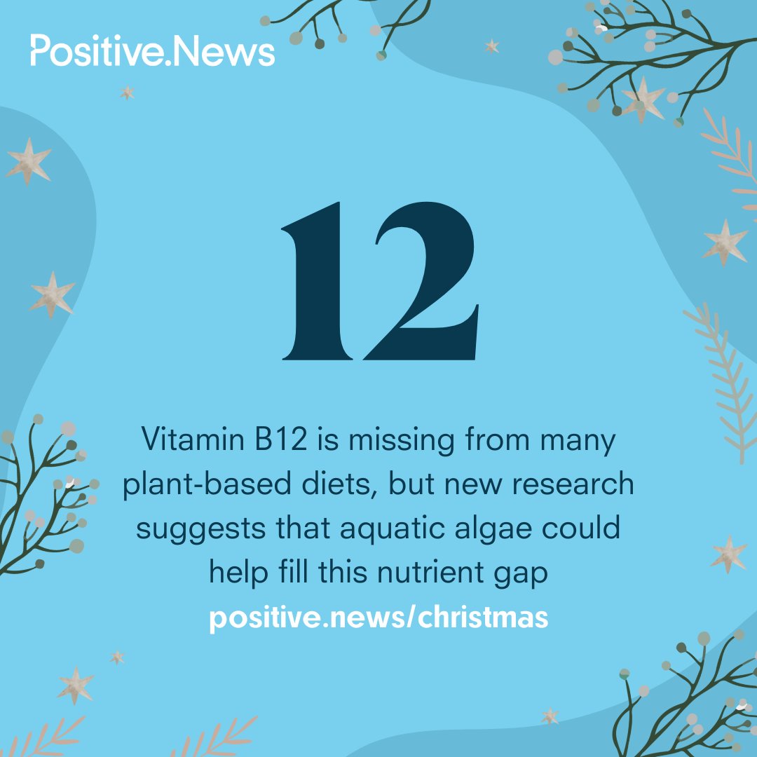 PositiveNewsUK's tweet photo. The power of algae is the subject of today’s #positivecountdown.
Help your loved ones tap into progress and possibility in 2024, by gifting them a Positive News subscription https://t.co/EpaoLuOrKd https://t.co/cUnuijt7d4
