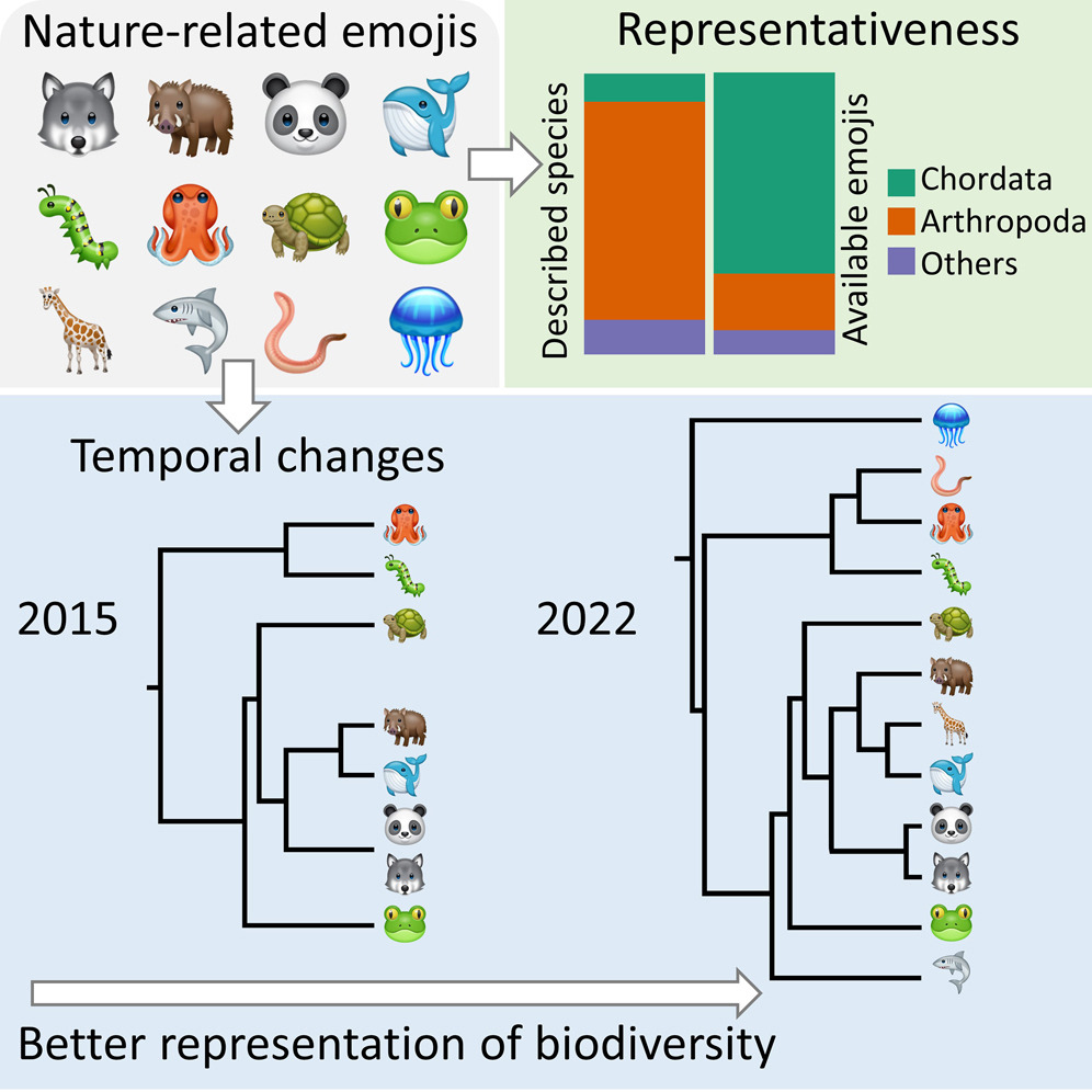 How well 🦠🍄🌱🦀🪼🪱🦟🦂🦋🐫🐑🦃🦜🐈‍⬛🐉🐿️🦨 represent the Earth's Tree of Life? Since people were dying to know (sic!), we explored the comprehensiveness of available nature-related emojis. Read #OA in @iScience_CP: doi.org/10.1016/j.isci…