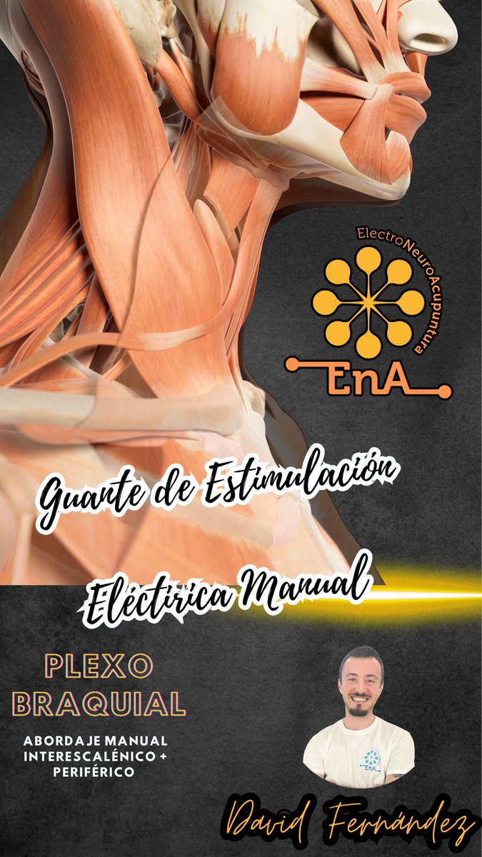 ElectroNeuroAcupuntura-EnA tweet media