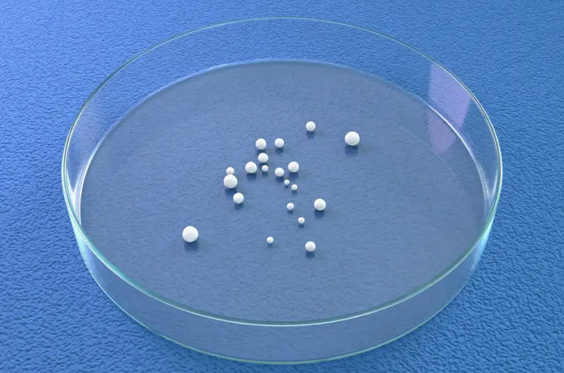 🗓️ #FlashTweet, le petit journal des grandes innovations
Édition SPÉCIALE IA du 12 décembre 2023
⚡️ Chaque mardi, <a href="/EmmanuelleL9/">Emmanuelle Leneuf</a> vous briefe sur les avancées de l’IA 🧠

🗞️ Une IA qui utilise des cellules du cerveau humain, ChatGPT qui réussit un examen neurologique pour la 1ere