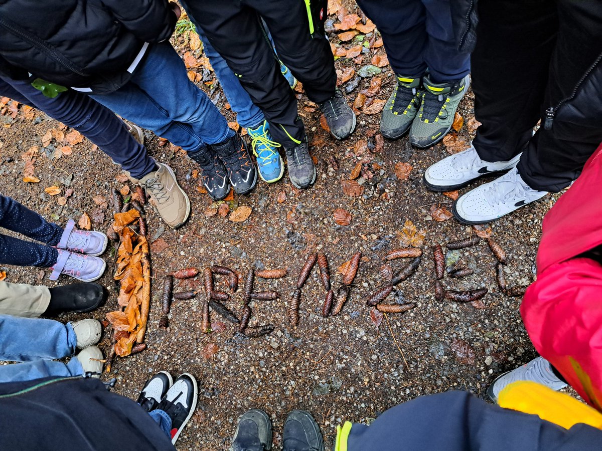 📌 Wert des heimischen Waldes beim Waldwandertag der Wirtschaftsschule Frenzel aufgezeigt. lmy.de/UBvb

Foto: Private Wirtschaftsschule Frenzel Kaufbeuren