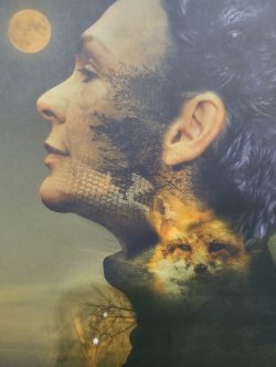 🍁📚 Arriba la trobada presencial amb 5 autors guanyadors del 25è Premi Tinet de narrativa curta: “Les filles de la nit i altres contes”. 

📖 AVUI a les 18 h. 
Us hi esperem!!