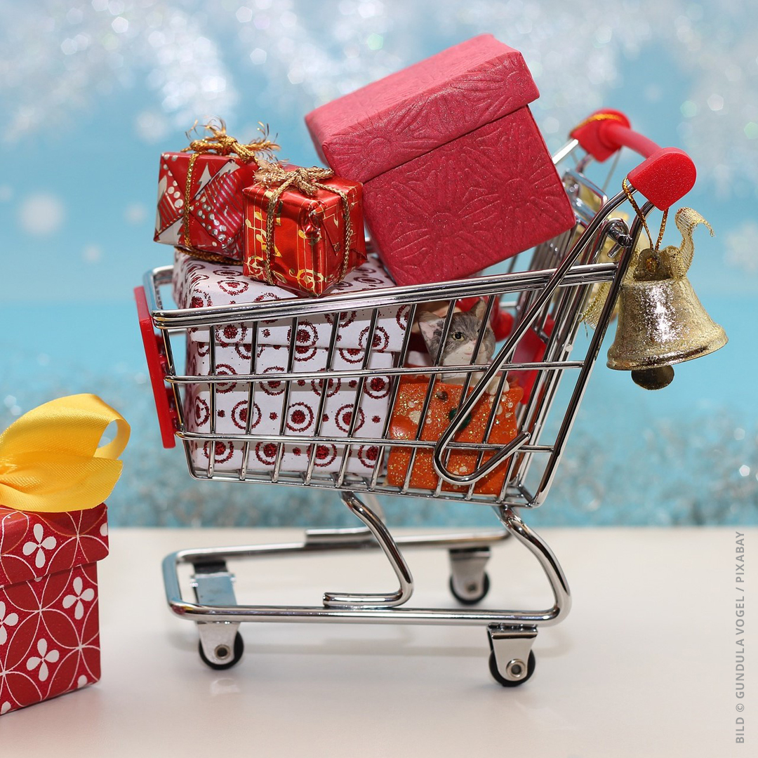 Weihnachtseinkäufe schon erledigt? Finde bei uns das passende Geschenk für deine Liebsten!🎅🎄