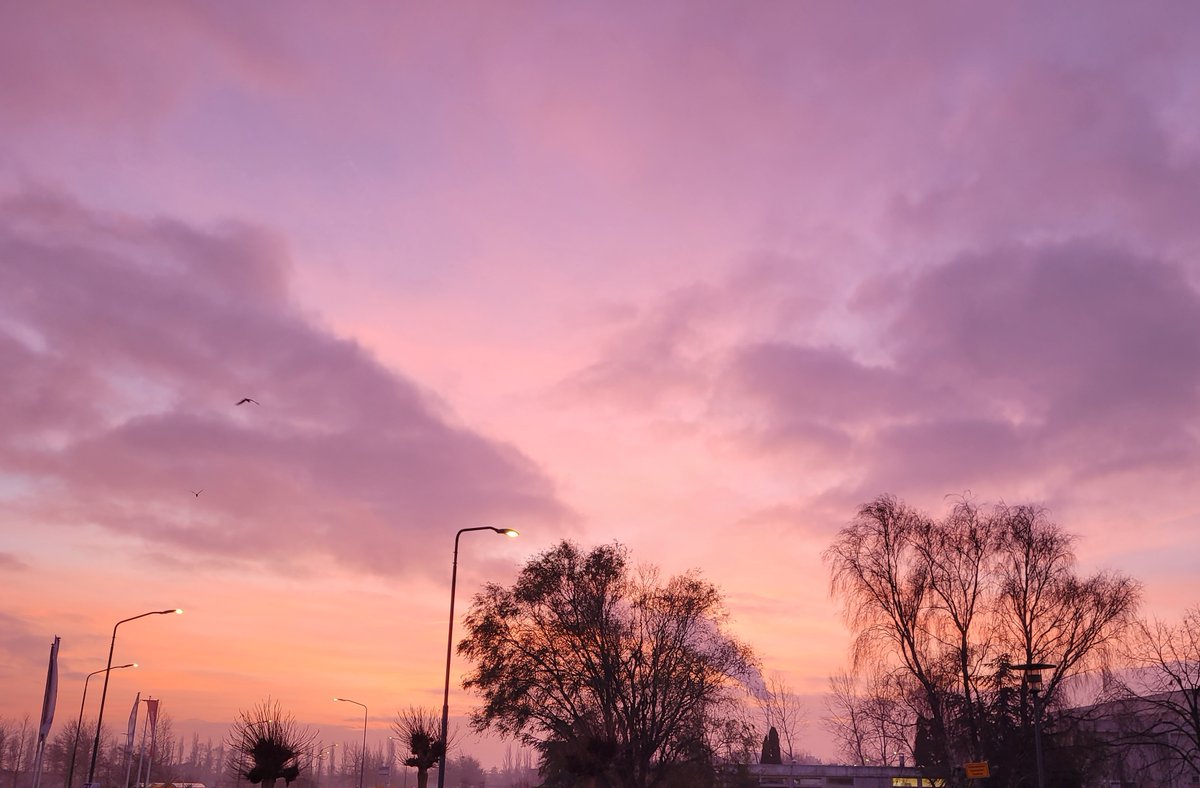 WormerWonen tweet media