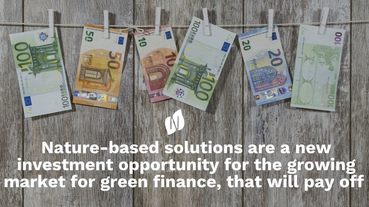 #NaturebasedSolutions 🐬 🍁 🐜 are an investment opportunity with meaningful payoffs 💹 financially, environmentally, and socially. Check out 'The Blended Finance Playbook for Nature Based Solutions' to learn more 👉 buff.ly/417naIU