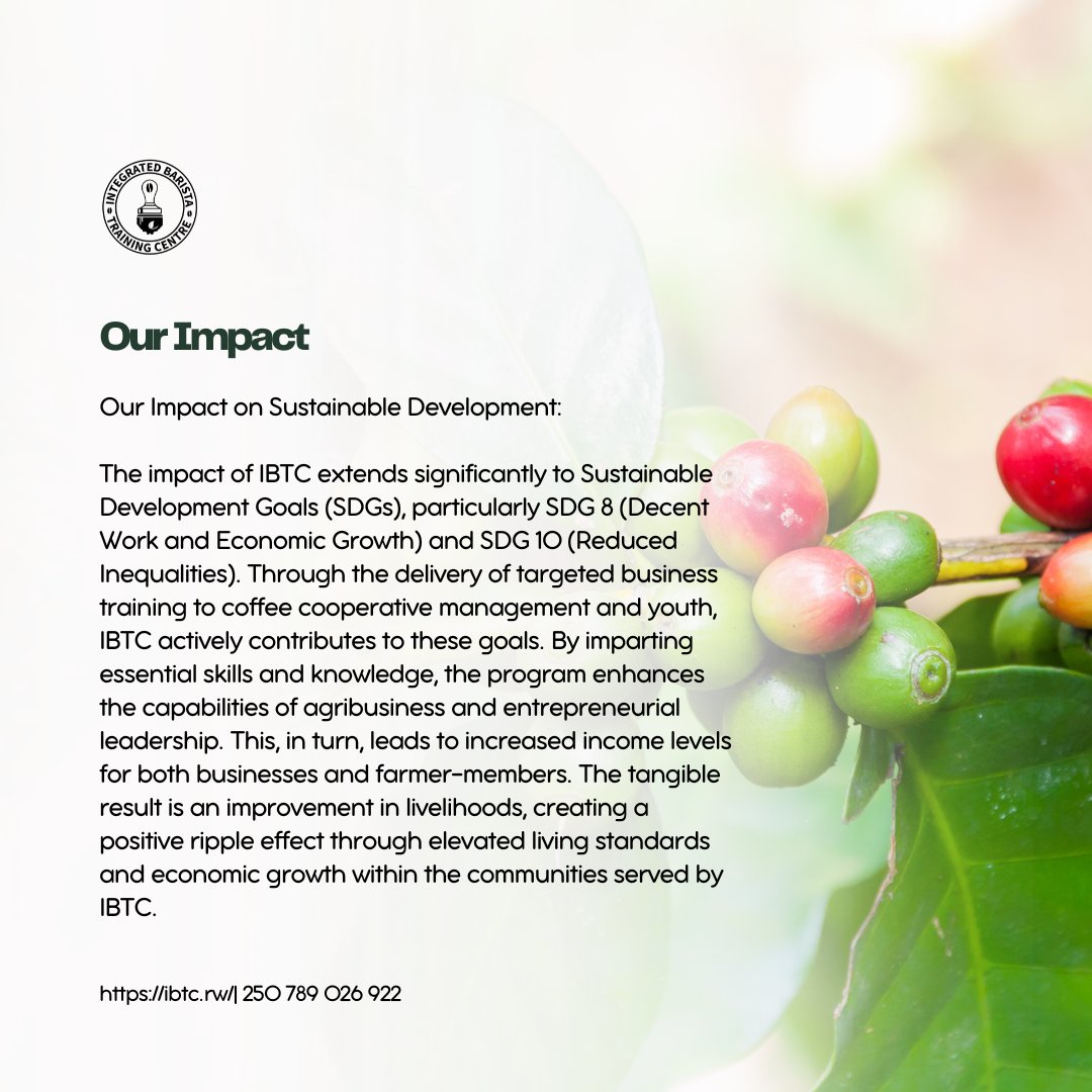 ibtcrwanda's tweet photo. Empowering communities for a brighter future! 🌍. IBTC drives impact through targeted business training, fostering economic growth, and reducing inequalities. Together, we're making strides towards Sustainable Development Goals. #IBTCImpact #SustainableDevelopment https://t.co/fDpR1icONO