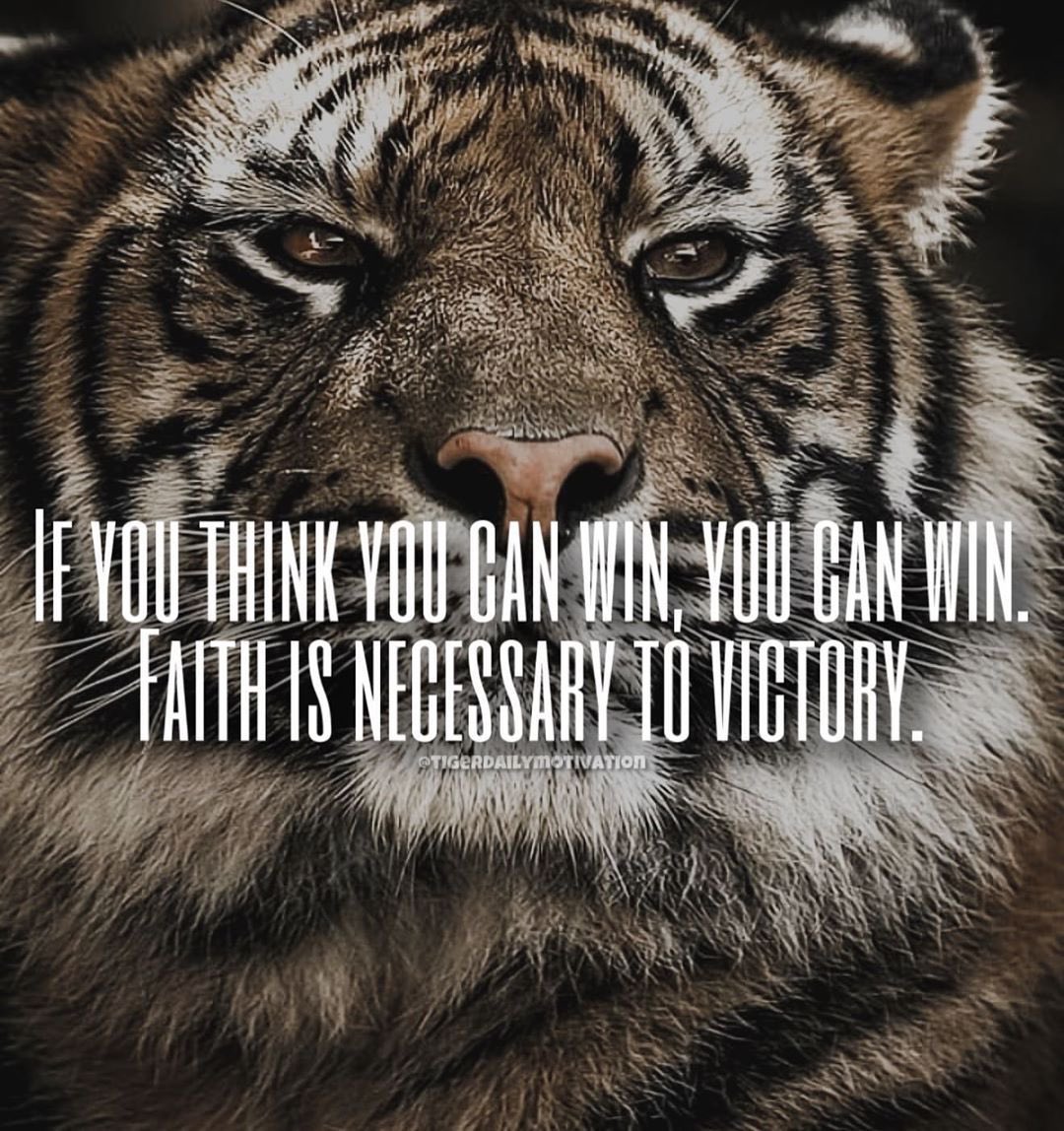 Morning 🌄 Straight up beast mode 💪🐯 In on the Graft on my day off Stack them Ps 🤑👌Have a Cracking day 👍 Go and Smash it, Couple of mentions to special friends will tag below forgot the @🤣 Big love TTT 🐯💙🦁❤️ #BeastMode #MentalHealthMatters #ItsOkToTalk 🐯💙🦁❤️🙏👌👍🙌