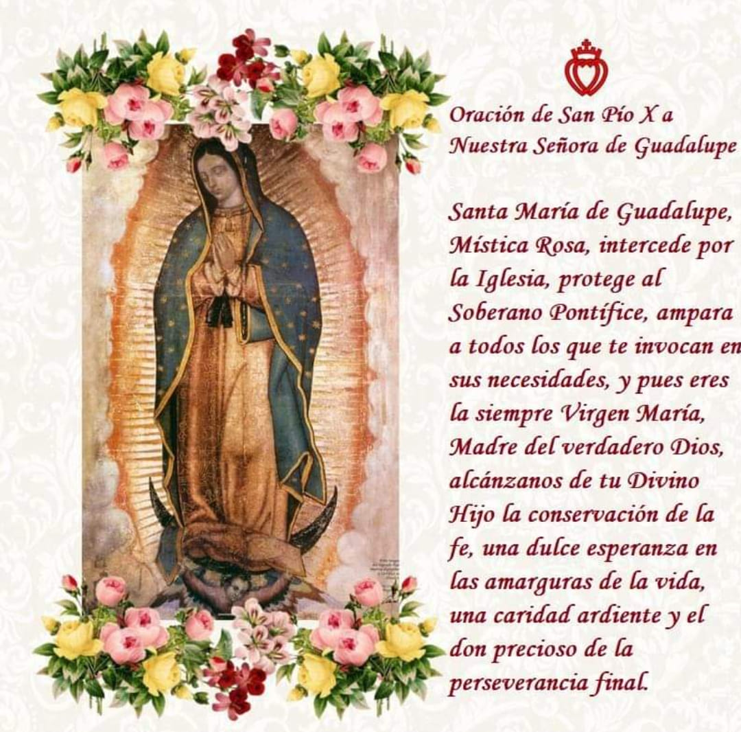 #fsspx #virgendeguadalupe #Catolicismo #tepeyac #virgenmariadeguadalupe #virgenmaria #12DeDiciembre