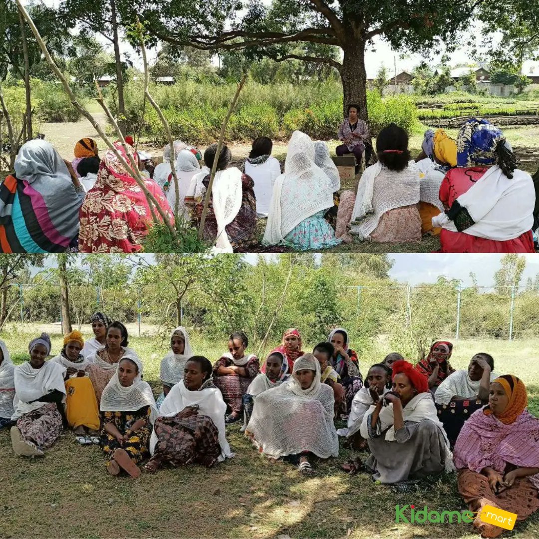 Excited to share: Mekele Agents return, trained in Basic Business Skills, Financial Literacy, WASH basics, equipped with Unilever samples. Here's to progress! #EmpoweringWomen #KidameMart