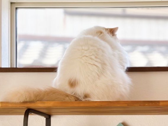 背中可愛すぎる🫠💕