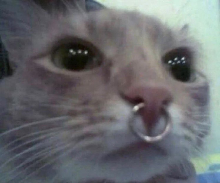 __eliturner's tweet image. me (real)