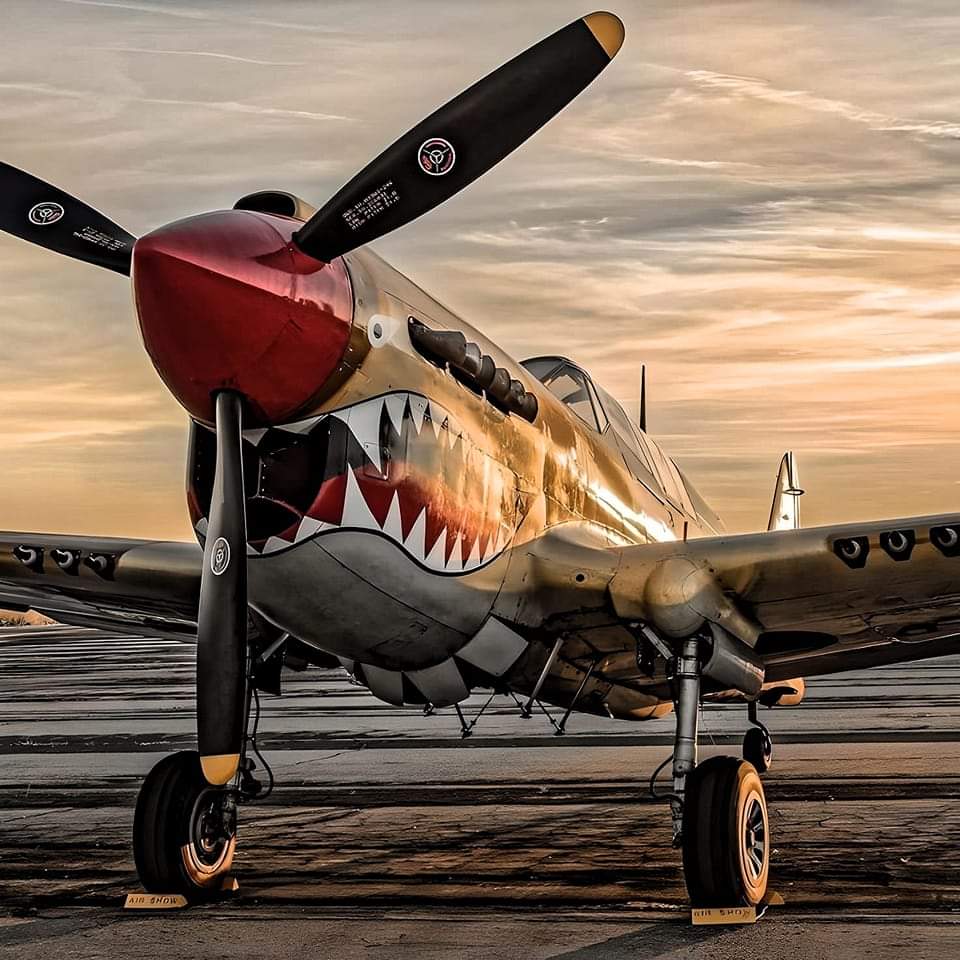 The Curtiss P-40 Warhawk is one of the most esthetically pleasing warbirds I've ever seen 😍