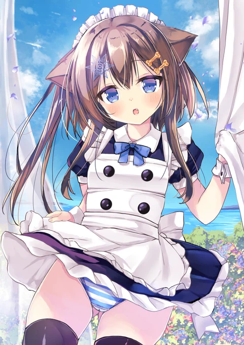 おやっ。。。。  あーいけません!いけません!