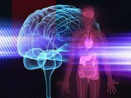 Alessandra Borsini tweet media