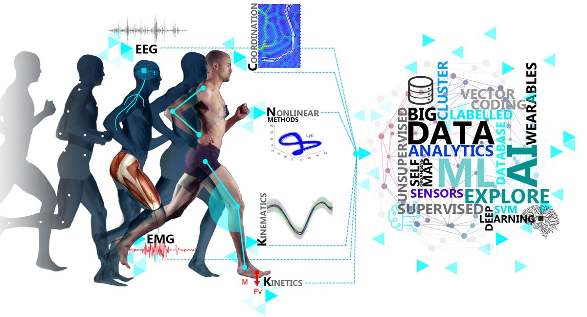 💫 New special issue "Advances in the #Biomechanical Analysis of #Human #Movement" in <a href="/BrainSci_MDPI/">Brain Sciences MDPI</a>💫

🚀Share your novel insights &amp; shape the future of biomechanics 🚀

Submission now open. Guest editors <a href="/JavadSarvestan/">Javad Sarvestan</a> &amp; <a href="/Lisa_HumMovSci/">Lisa Alcock</a>

mdpi.com/journal/applsc…
