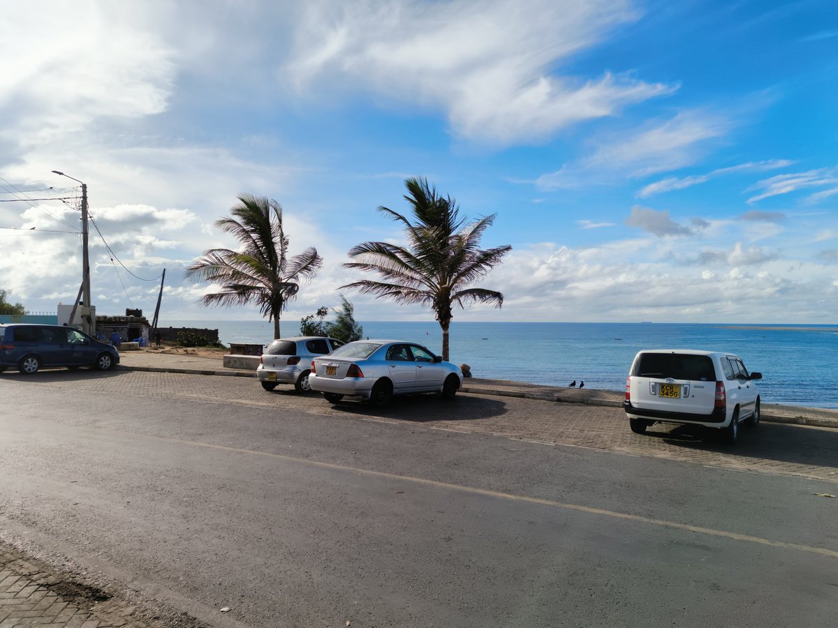 alasirimotors's tweet photo. HOW TO SURVIVE IN MOMBASA FOR NEW 🐝🐝🐝🐝

1) Avoid Bamburi & Mtwapa Women 

2) Buy Vegetables from Kongowea

3) Avoid Casablanca honies

4) Majengo Sokoni has the best Miraa in town

5) Live in Likoni it's cheaper

6) Cross the ferry early , cross back late to avoid traffic

7) First dates are at Mama Ngina

8) Do not go down on Digo women. Utalishwa limbwata usahau kwenu.

9) Tuk Tuk Short distance fare is 50/=

10) Matatu Short Distance fare is 30/= stage to stage

11) Amorino caffe sell the best Biriani in town

12) Tudor & Bamburi javs have the highest number of phone thieves & pickpockets

13) Mikindani is a great alternative to Likoni 

14) Kumamaye is a greeting in Mvita

15) Do not drink street water during the rainy season. Drink bottled water.

16) Once at Mazeras shift accents to Swahili 

17) SGR to town is 200/=

20) Best Madafu is sold at Chondochondo Mama ngima pale Gorilla

#Kenya 
#kenyaindependence 
#KenyaAt60