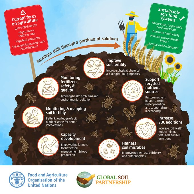 FAOAfrica's tweet photo. Why do we need urgent investments in #soilhealth and practices that support it?

🍄 Prevent and reverse land + #soil degradation
🐛 Put ecosystem restoration targets within reach
🍀 Mitigate and adapt to climate change
🍓 Improve #food security + nutrition https://t.co/9FdxHS4Nts