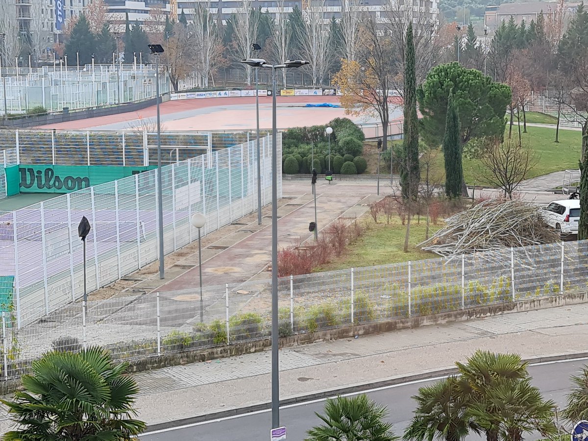 Lo sucedido en #Arganda es increible. 4 árboles sanos del Polideportivo Príncipe Felipe son talados sin más... ¿Alguien del <a href="/Arganda_Ayto/">Arganda del Rey</a> o <a href="/AlbertoEscri/">Alberto Escribano</a> puede explicar el por qué? Si ya de por sí no disponemos de prácticamente zonas verdes, destruyan las pocas disponibles